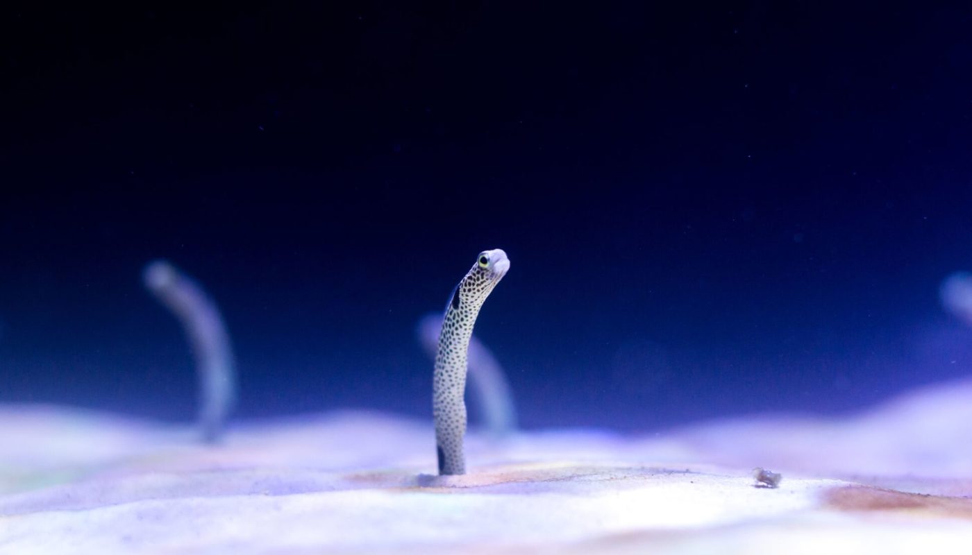 Power Automate: min Function