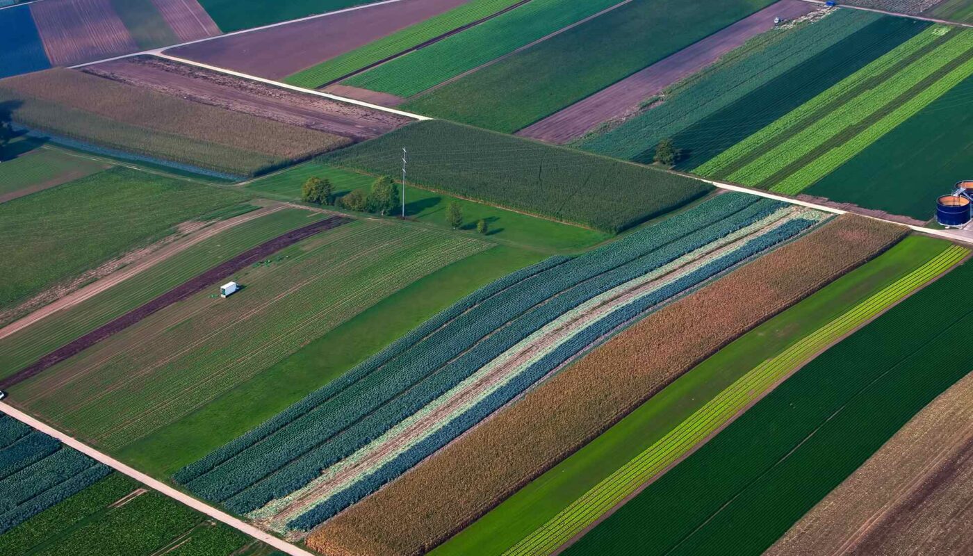 Power Automate: Office 365 Excel – List rows present in a table Action