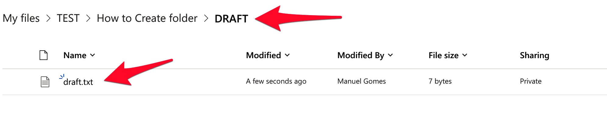 After the Flow runs the file and folder are created in the desired location.
