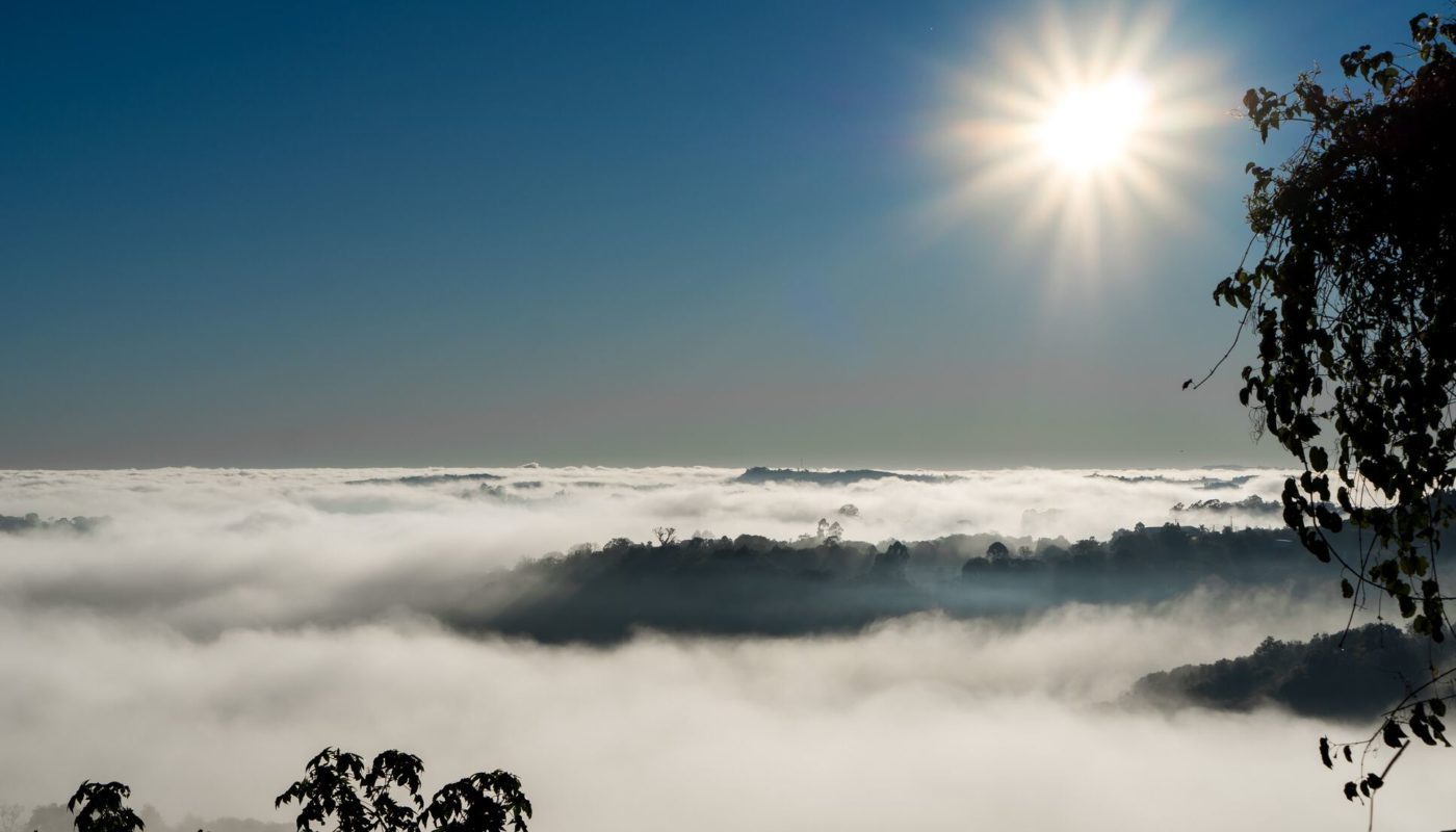 Power Automate: startOfDay function